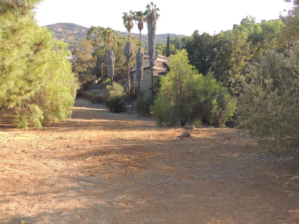 San Diego East County Land for Sale Mt. Helix Lifestyles Real Estate