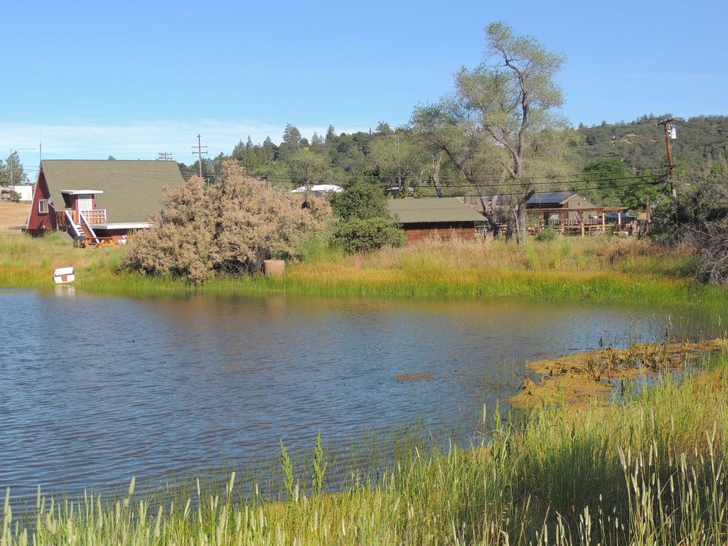 Julian Farm and Orchard named 6thbest apple orchard in U.S. Mt