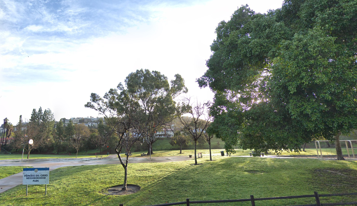 Princess Del Cerro Neighborhood Home Watch Mt. Helix Lifestyles Real